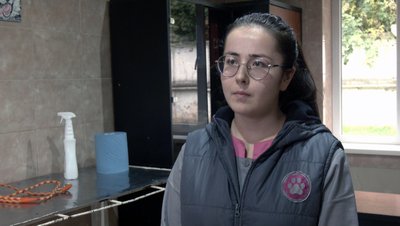 "Коли господар їде на фронт, пес Батон стресує": як в КП "Ласка" у Луцьку доглядають тварин "Коли господар їде на фронт, пес Батон стресує": як в КП "Ласка" у Луцьку доглядають тварин