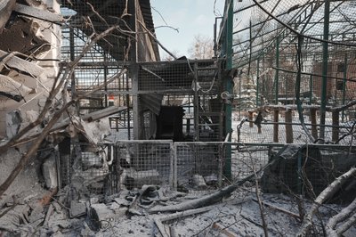 "Фельдман екопарк" після російського авіаудару "Фельдман екопарк" після російського авіаудару
