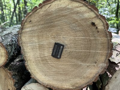 На Полтавщині лісівники заготовляють дрова для населення: як можна купити На Полтавщині лісівники заготовляють дрова для населення: як можна купити