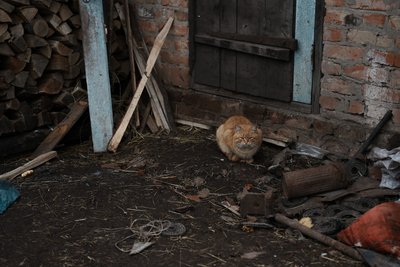 "Валя викинула у вікно спочатку онучку": як живуть під обстрілами у селі Князівка на Сумщині за 20 км від Росії "Валя викинула у вікно спочатку онучку": як живуть під обстрілами у селі Князівка на Сумщині за 20 км від Росії