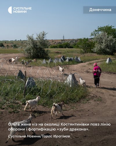 Ольга жене кіз на околиці Костянтинівки повз лінію оборони і фортифікацію "зуби дракона" Ольга жене кіз на околиці Костянтинівки повз лінію оборони і фортифікацію "зуби дракона"