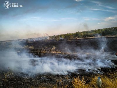 На Одещині знову горіла суха трава та чагарники: вогонь перекинувся на дачний будинок На Одещині знову горіла суха трава та чагарники: вогонь перекинувся на дачний будинок