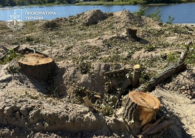 На території заказника Горбачиха у Києві почали вирубку дерев — активіст На території заказника Горбачиха у Києві почали вирубку дерев — активіст