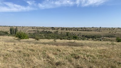 Територія заповідника "Єланецький степ" Територія заповідника "Єланецький степ"