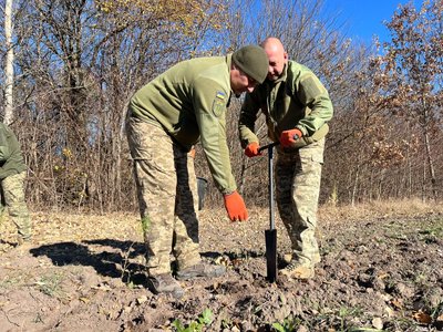 На Тернопільщині військові посадили ліс, листопад 2024 На Тернопільщині військові посадили ліс, листопад 2024