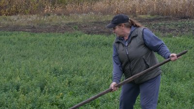 «Є свобода, воля та чисте повітря»: 51-річна жителька Кіровоградщини про життя та роботу в селі «Є свобода, воля та чисте повітря»: 51-річна жителька Кіровоградщини про життя та роботу в селі