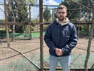 "Всіх вбили і розірвали": у Кременчуці невідома тварина загризла кенгуру та оленів