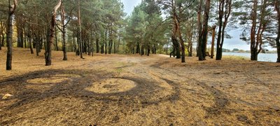 У нацпарку на Волині невідомі понищили екостежку У нацпарку на Волині невідомі понищили екостежку