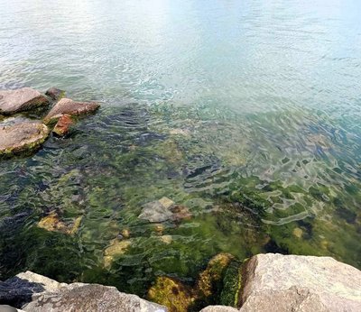 Екоінспекція перевірила море біля "Чорноморки" через скарги місцевих жителів