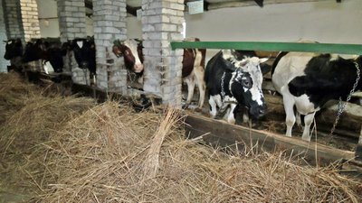 Волинське село за 500 метрів від Білорусі Волинське село за 500 метрів від Білорусі