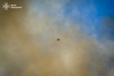 Займання очерету в Одесі: вогонь охопив дев'ять гектарів площі Займання очерету в Одесі: вогонь охопив дев'ять гектарів площі