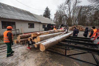 Пошкоджені дерева у Києві підуть на дрова для пунктів обігріву