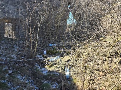 Замок, Тернопільщина, прибирання, департамент культури та туризму Тернопільської ОВА Замок, Тернопільщина, прибирання, департамент культури та туризму Тернопільської ОВА