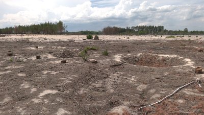 Від геологорозвідки до кар'єру: як готують ділянку для видобутку бурштину на Рівненщині Від геологорозвідки до кар'єру: як готують ділянку для видобутку бурштину на Рівненщині