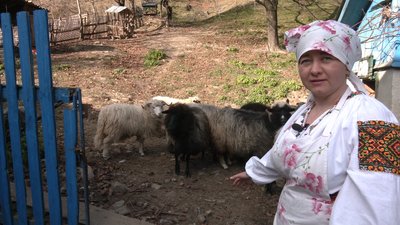 Сироварка Світлана Бечко, вівці, Гуцульщина Сироварка Світлана Бечко, вівці, Гуцульщина