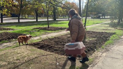 Їздить годувати покинутих тварин у мікрорайон Корабел. Історія херсонки Любові Садонової Їздить годувати покинутих тварин у мікрорайон Корабел. Історія херсонки Любові Садонової