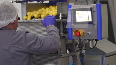 На Житомирщині підприємство з Херсонщини робить чищену вакуумовану картоплю — щомісяця переробляють 200 тонн На Житомирщині підприємство з Херсонщини робить чищену вакуумовану картоплю — щомісяця переробляють 200 тонн