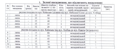 В Житомирі зріжуть ще понад 300 дерев, частину з них — в центрі міста В Житомирі зріжуть ще понад 300 дерев, частину з них — в центрі міста