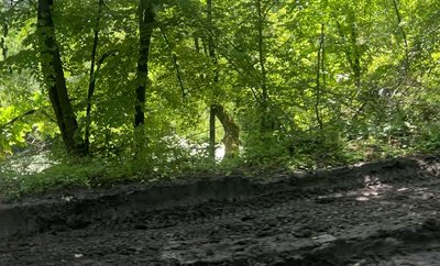 дорога Луганська область, травень 2025 рік дорога Луганська область, травень 2025 рік