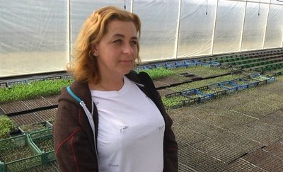"60+ днів – оптимальний вік розсади": подружжя з Хмельниччини вирощують у теплицях понад 60 сортів овочів та квітів "60+ днів – оптимальний вік розсади": подружжя з Хмельниччини вирощують у теплицях понад 60 сортів овочів та квітів