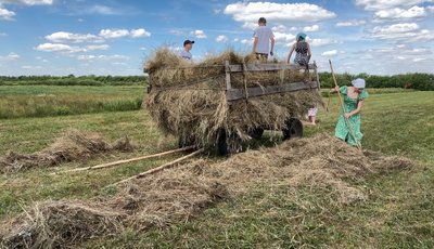 "Літом ногою, а зимою губою": як родина з Волині заготовляє сіно на зиму "Літом ногою, а зимою губою": як родина з Волині заготовляє сіно на зиму
