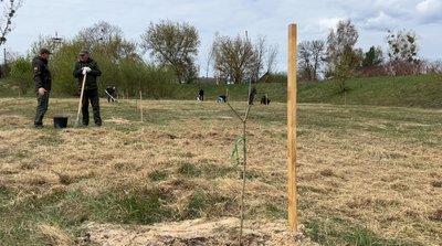 Алею із дубів Тараса Шевченка висадили у Сарнах на Рівненщині