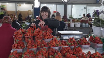Полуничний сезон у Вінниці: ціни стартують від 180 гривень за кілограм Полуничний сезон у Вінниці: ціни стартують від 180 гривень за кілограм