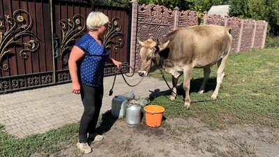 Світлана з коровою Мілкою Мирове Донецька область 29 серпня 2025 рік Світлана з коровою Мілкою Мирове Донецька область 29 серпня 2025 рік