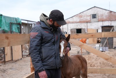 Роберт Саргсян, власник притулку «Animals 911» Роберт Саргсян, власник притулку «Animals 911»