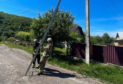 Врятували лелеку, рятувальники, Тернопільщина, червень 2024 Врятували лелеку, рятувальники, Тернопільщина, червень 2024
