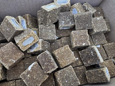 На Волині стартувала вакцинація диких тварин проти сказу
