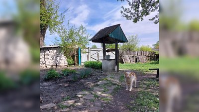 Як родина з трьома дітьми та травмованою дружиною тікала з Попасної і опинилась на Чернігівщині Як родина з трьома дітьми та травмованою дружиною тікала з Попасної і опинилась на Чернігівщині