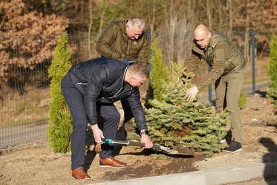 Відбулася символічна акція висадки мільярдного дерева у рамках програми "Зелена країна" на Рівненщині Відбулася символічна акція висадки мільярдного дерева у рамках програми "Зелена країна" на Рівненщині