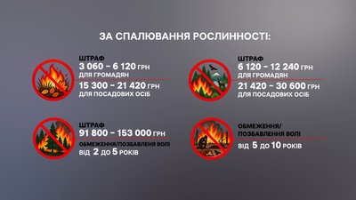 Пожеж в екосистемах поменшало вдвічі: чи спалюють листя на Полтавщині Пожеж в екосистемах поменшало вдвічі: чи спалюють листя на Полтавщині
