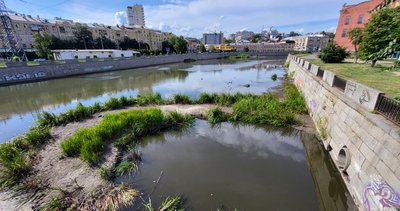 У Харкові рівень води в річках знижується через спеку У Харкові рівень води в річках знижується через спеку