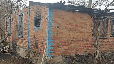 Допомагала у порятунку людей: історія собаки, яка пережила пожежу в притулку на Житомирщині Допомагала у порятунку людей: історія собаки, яка пережила пожежу в притулку на Житомирщині