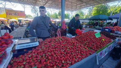 Приморозки формують ціни та врожай: яка вартість ранніх овочів та ягід на хмельницьких ринках Приморозки формують ціни та врожай: яка вартість ранніх овочів та ягід на хмельницьких ринках