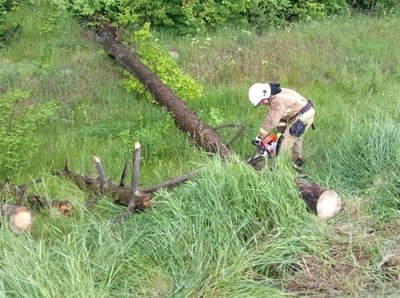 Негода на Житомирщині: рятувальники двічі прибирали повалені дерева з доріг Негода на Житомирщині: рятувальники двічі прибирали повалені дерева з доріг