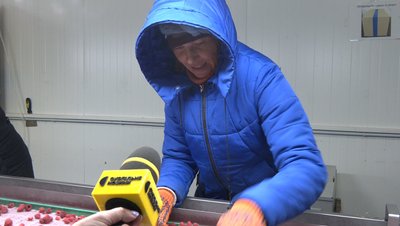 Світлана Берестецька, кооператив, цех Світлана Берестецька, кооператив, цех