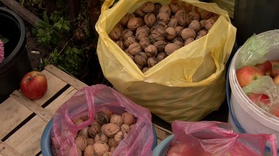 До 500 гривень за кілограм: чому у Черкасах зросли ціни на волоський горіх До 500 гривень за кілограм: чому у Черкасах зросли ціни на волоський горіх