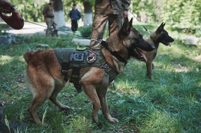 Збори кінологів Нацгвардії у Харкові, 16 травня 2025 року