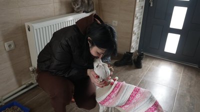 "Вони на вулиці будуть приречені": зооволонтерка з Вінниччини знайшла прихисток двом голубам "Вони на вулиці будуть приречені": зооволонтерка з Вінниччини знайшла прихисток двом голубам