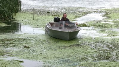 Басів кут вкритий водоростях Басів кут вкритий водоростях