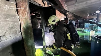 Пожежа на Житомирщині: загорілася сушарка з декоративними рослинами Пожежа на Житомирщині: загорілася сушарка з декоративними рослинами