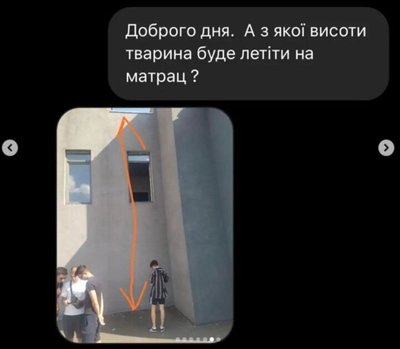 У київському притулку шукали кота-дублера для зйомок фільму, що фінансується Держкіно У київському притулку шукали кота-дублера для зйомок фільму, що фінансується Держкіно