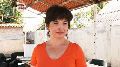 Собаки Собаки