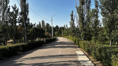 Гнилий Єланець, Гуляйгородок, Мертвовод — чудернацькі топоніми Миколаївщини та їхнє походження Гнилий Єланець, Гуляйгородок, Мертвовод — чудернацькі топоніми Миколаївщини та їхнє походження