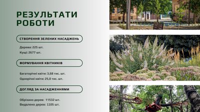 Статистика зрізаних та висаджених дерев у Чернівцях у 2025 році Статистика зрізаних та висаджених дерев у Чернівцях у 2025 році