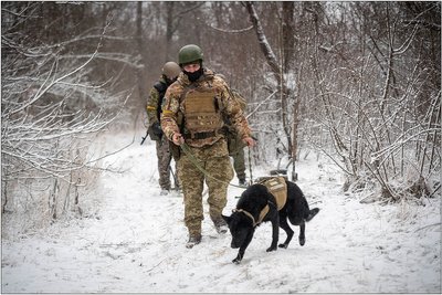На Одещині знешкодять артснаряди часів Другої світової війни На Одещині знешкодять артснаряди часів Другої світової війни