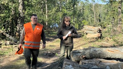 «Щоб не замерзнути взимку»: на Кіровоградщині зріс попит на дрова «Щоб не замерзнути взимку»: на Кіровоградщині зріс попит на дрова